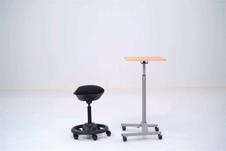 R21 series Instruction Video Active stool Standard