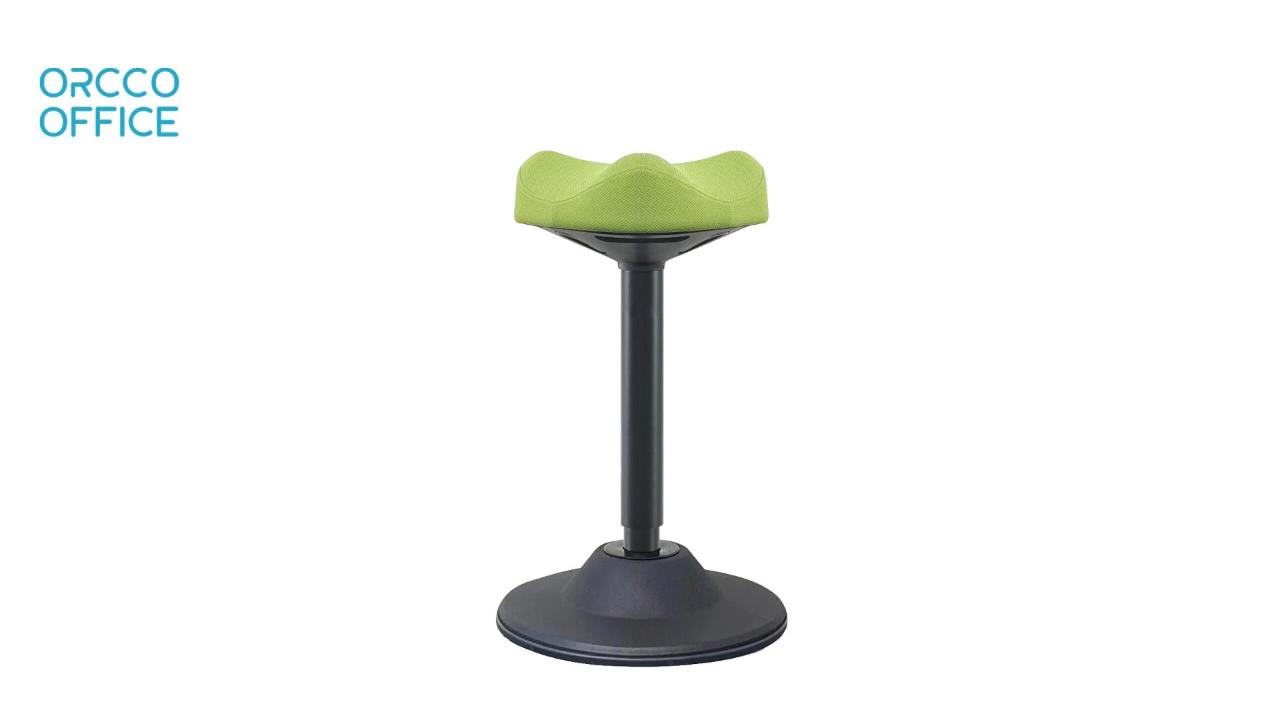 R06-R05 	Standing Desk Wobble Stool Chair Instruction Video